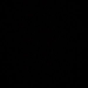 Meet your Posher, Sophia